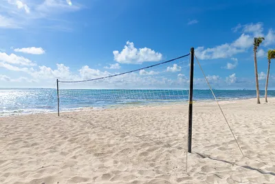 Beach volleyball net on a sunny, sandy shore with a clear blue sky and calm ocean waves in the background.