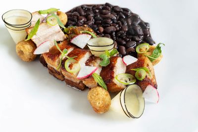 Gourmet dish with sliced meat, black beans, radish, onion rings, and green garnish, artfully arranged on a white plate.