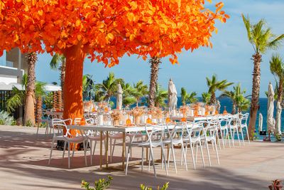 Outdoor dining setup with white tables and chairs under a vibrant orange tree, surrounded by palm trees and a view of the ocean.