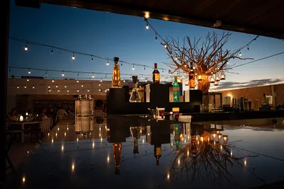 Rooftop bar at sunset with string lights, bottles on the counter, and a decorative tree reflecting on the glossy surface.