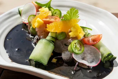 A gourmet dish with cucumber rolls, mango, orange slices, radishes, cherry tomatoes, and green peppers on a black sauce.