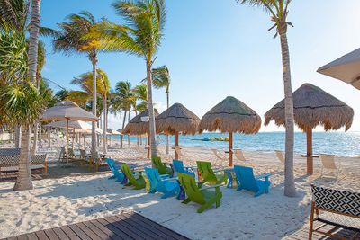 Tropical beach scene with colorful chairs, palm trees, and palapas overlooking the ocean under a clear blue sky.
