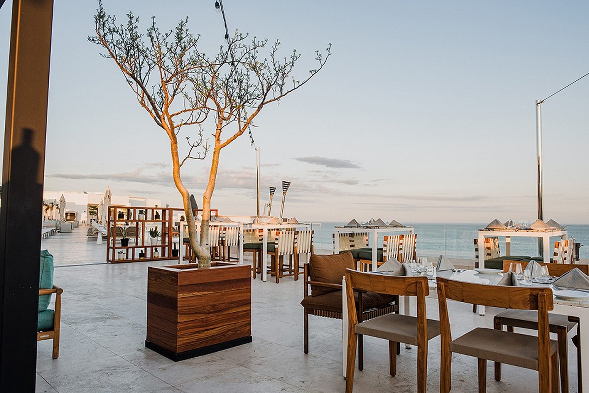 Outdoor seaside restaurant with wooden tables and chairs, a potted tree, and a view of the ocean under a clear sky.