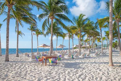 Tropical beach scene with palm trees, colorful chairs, and loungers on white sand, overlooking the blue ocean under a sunny sky.