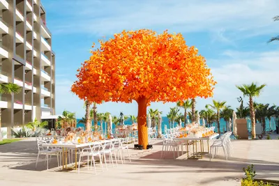 Outdoor dining area with white tables and chairs under a large artificial orange tree, near a modern building and overlooking the ocean.