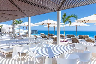 Outdoor seaside terrace with white tables, chairs, and loungers under umbrellas. Palm trees and ocean view under a clear blue sky.