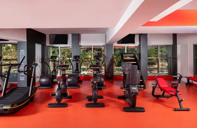 Modern gym with red flooring, featuring treadmills, stationary bikes, and weight benches, with large windows in the background.
