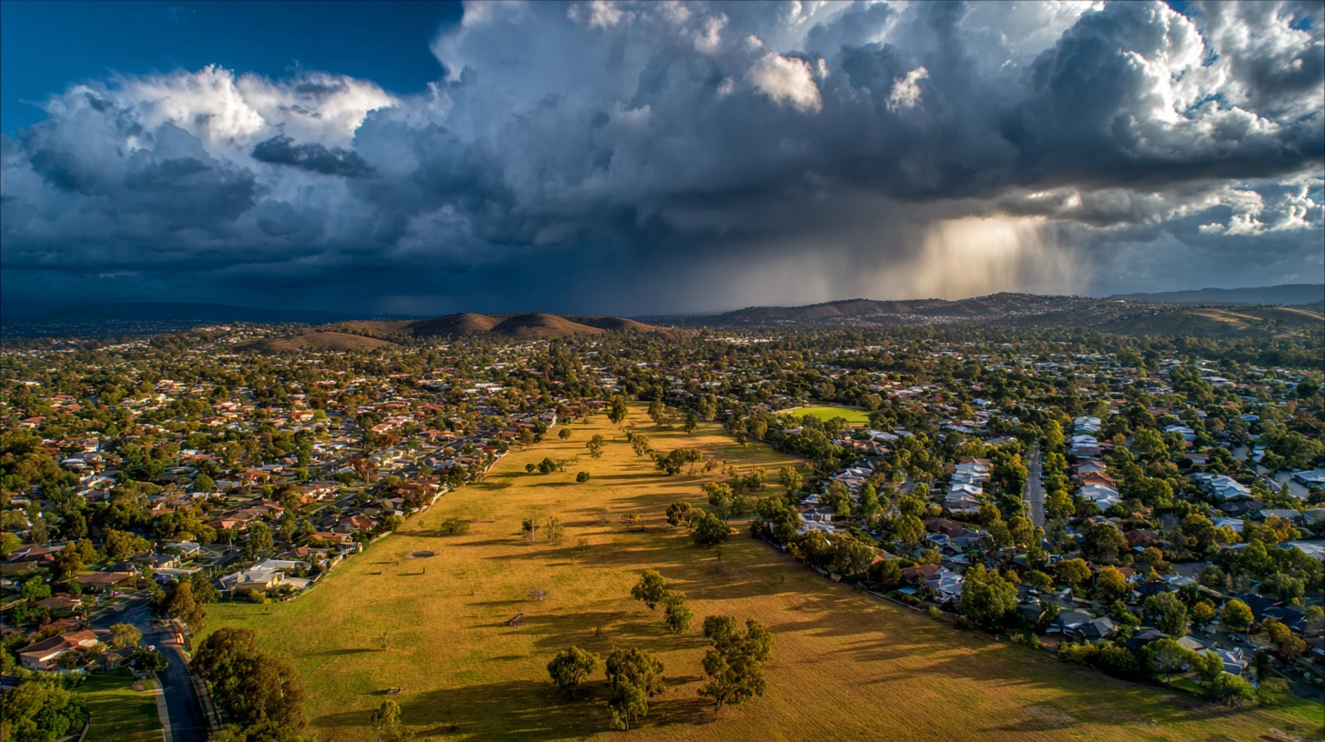 Is Your Brown Lawn Dormant or Dead Fall Recovery Tips for Western NY