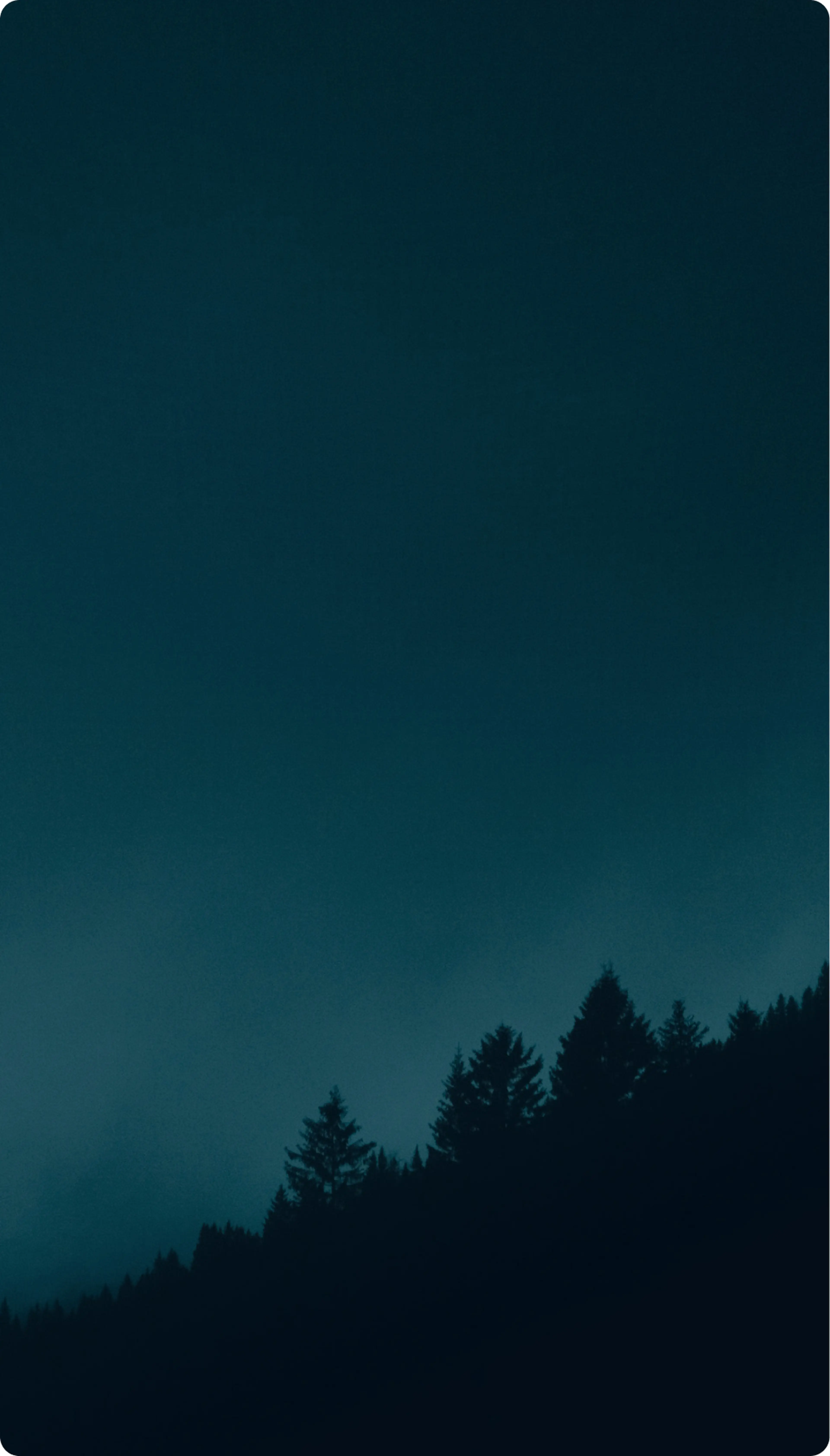Silhouetted pine trees against a dark, moody blue sky with a gradient effect, creating a serene and mysterious atmosphere.