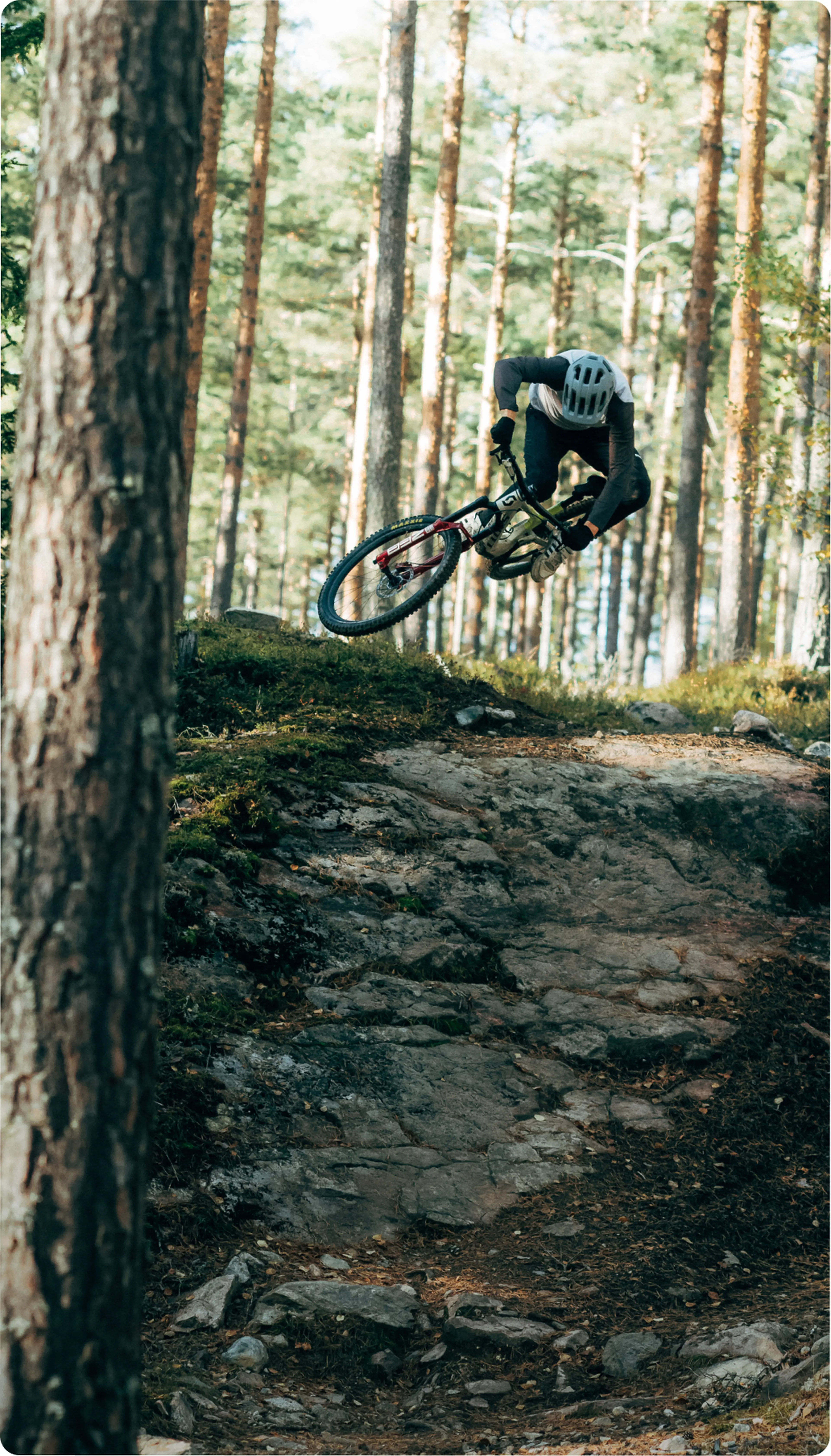 Mountain biker in mid-air jump on rocky forest trail, surrounded by tall trees, wearing a helmet and gear.