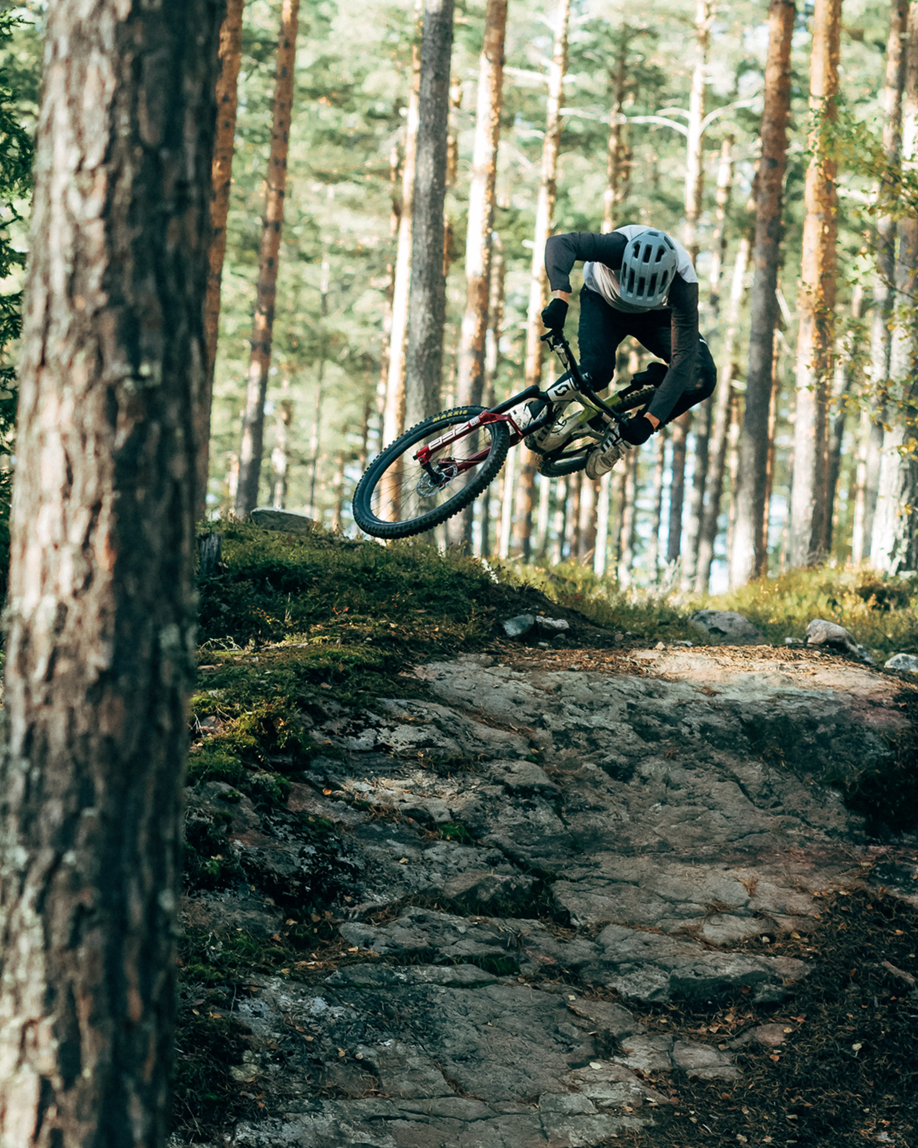 Mountain biker wearing a helmet performs a jump on a rocky forest trail, surrounded by tall trees.