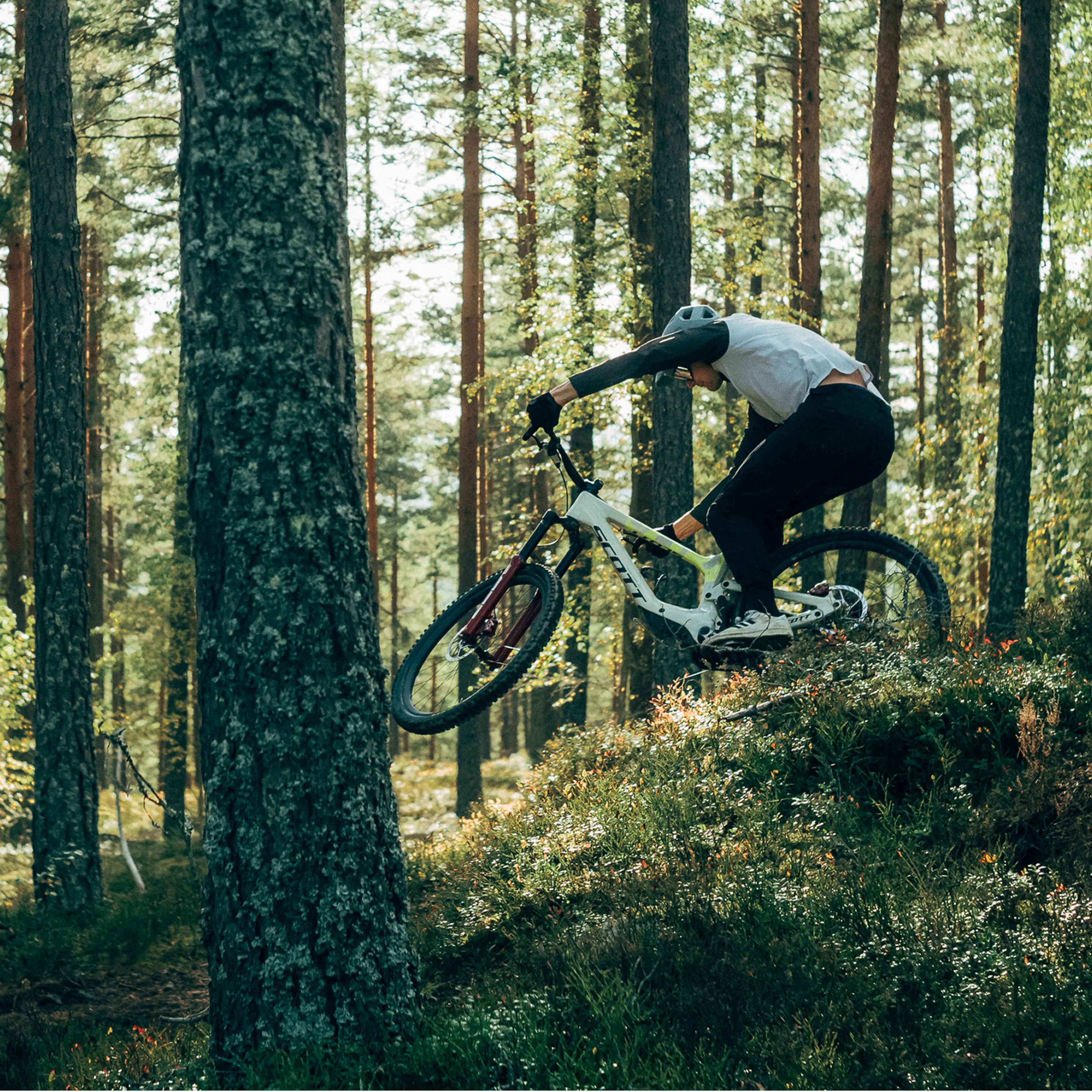 Cyclist in motion rides a mountain bike through a dense forest, navigating over a small hill with focus and agility.