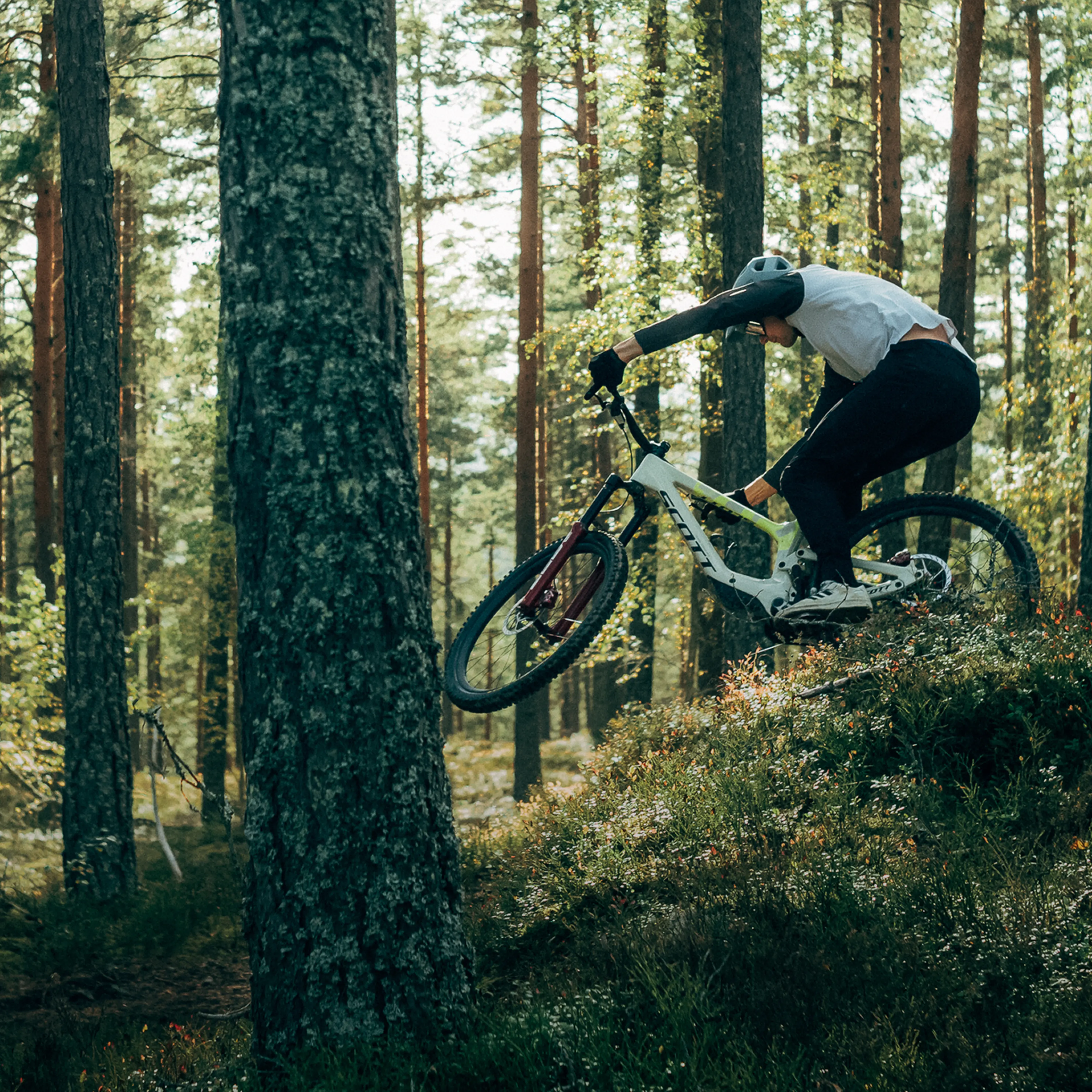 Cyclist in motion rides a mountain bike through a dense forest, navigating over a small hill with focus and agility.