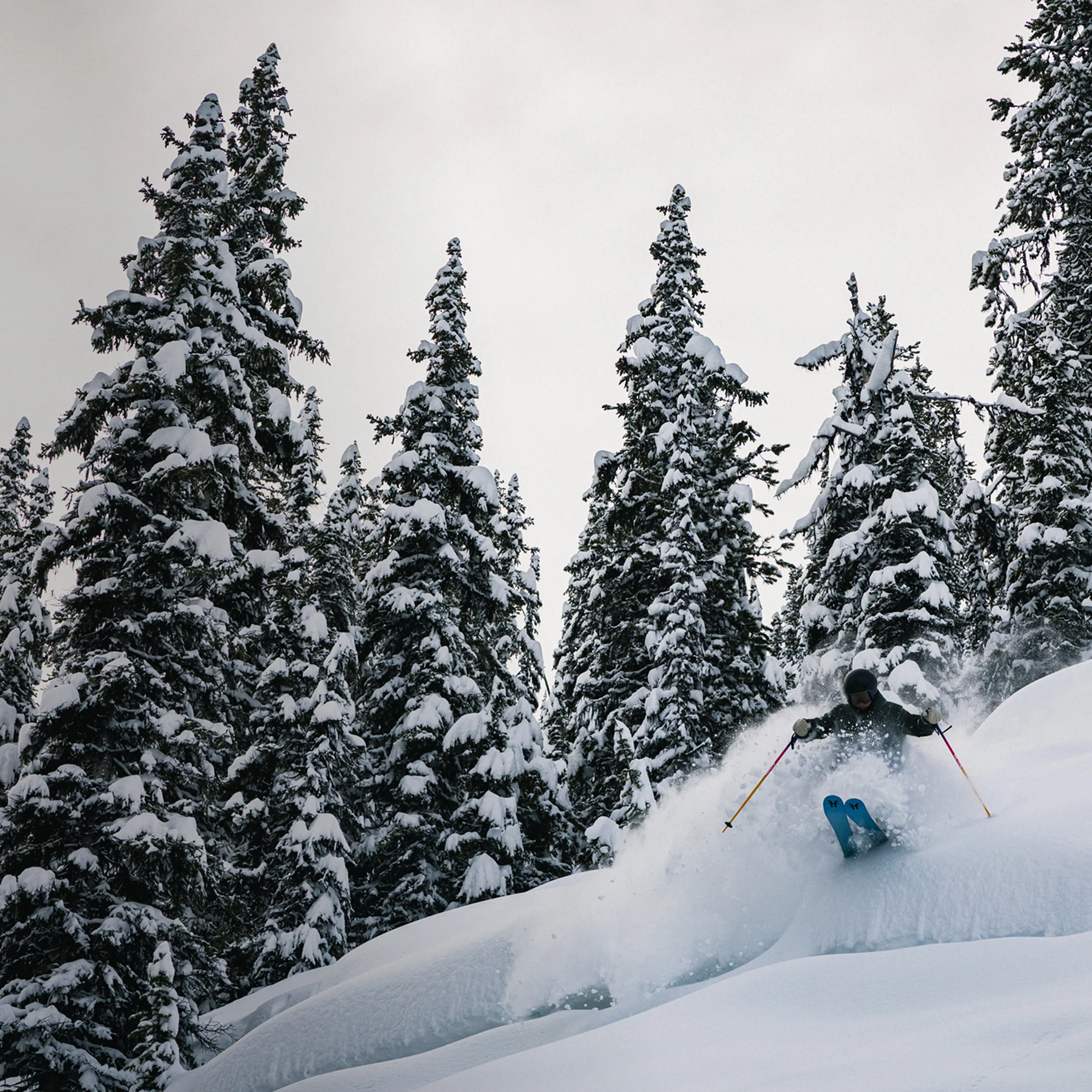 Skier descending a snow-covered slope with pine trees in the background, kicking up a spray of powdery snow.