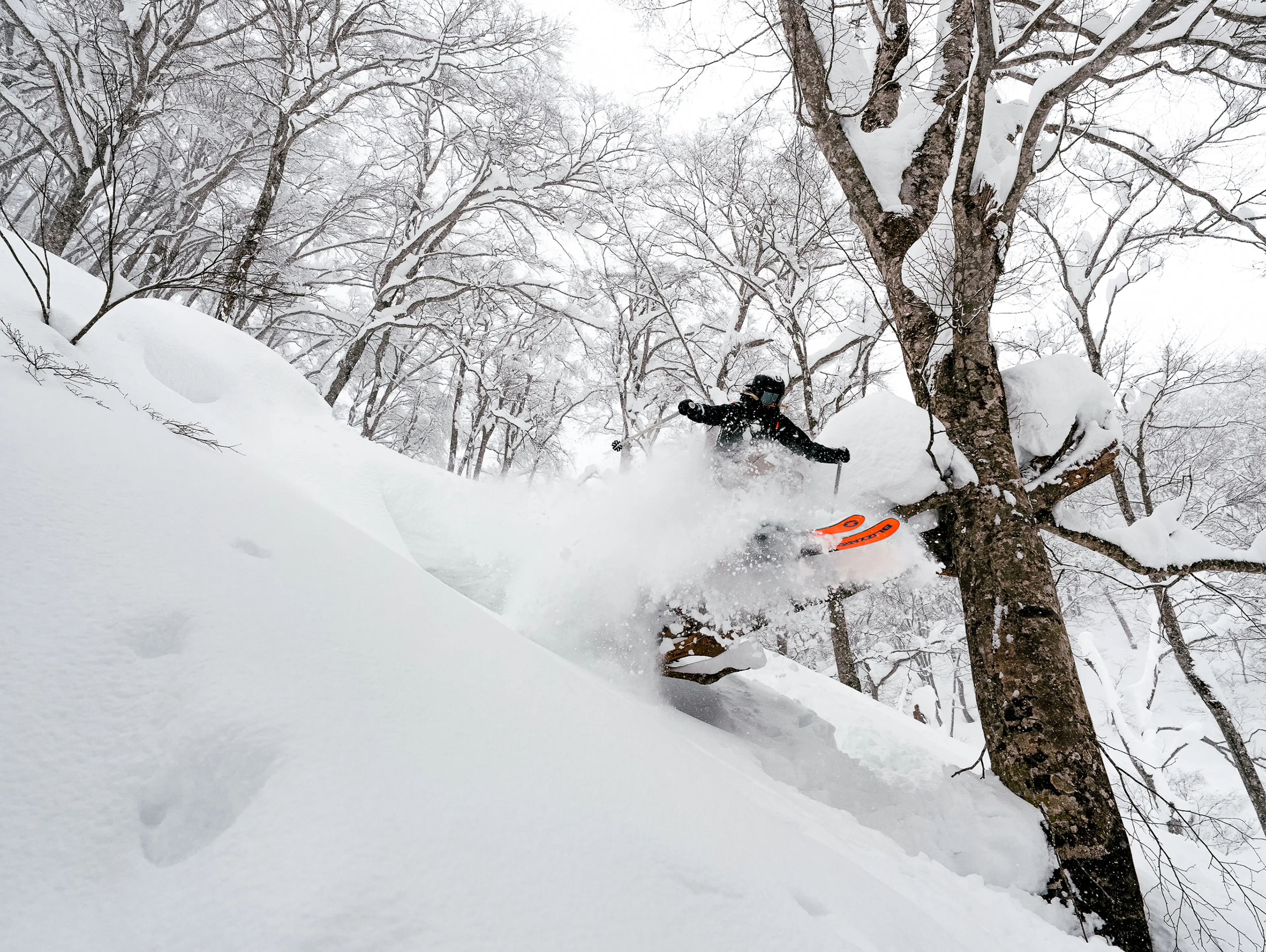 Skiier in mid-air, carving through fresh powder in a snow-covered forest