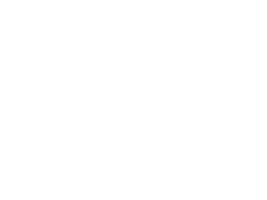 White Silva logo.