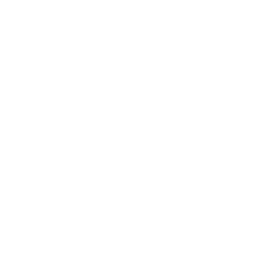 White Rossignol logo.