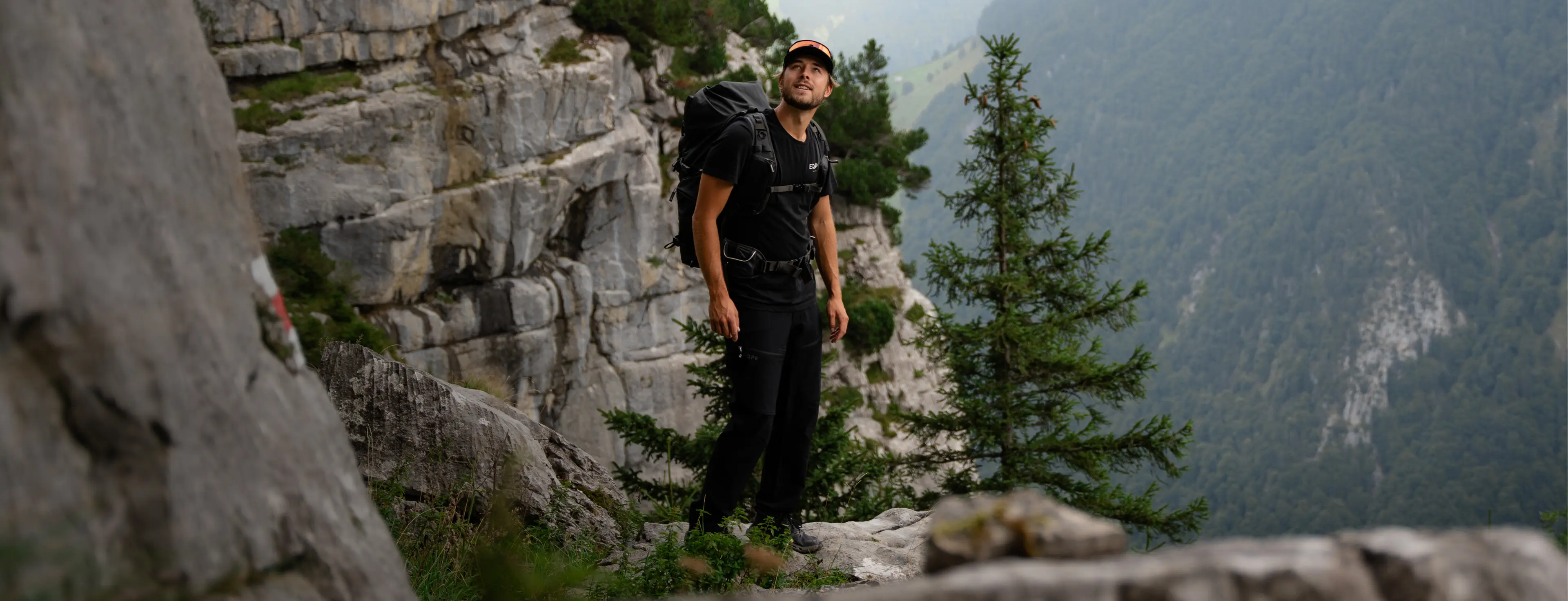 A hiker with a backpack stands on a rocky ledge, surrounded by pine trees and overlooking a mountainous landscape.