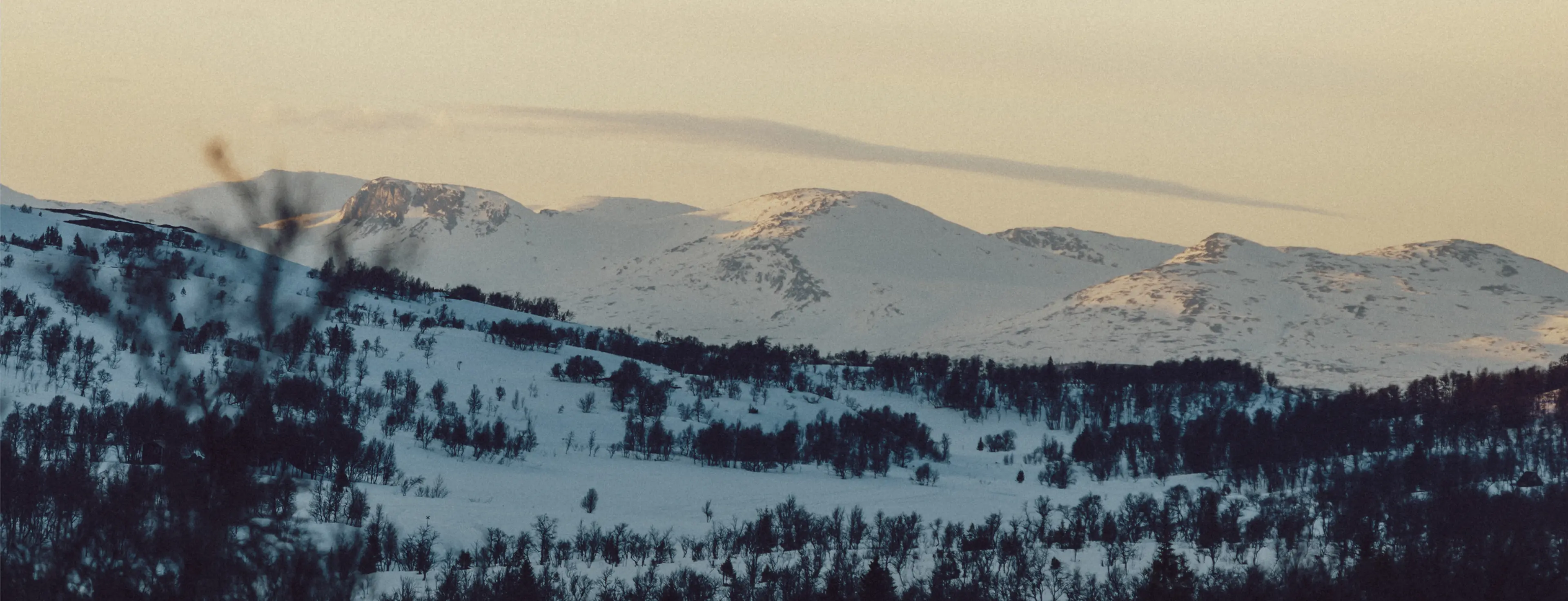 Snow-covered mountains under a soft evening sky, with sparse trees scattered across the landscape.