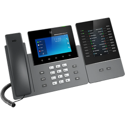 Grandstream GXV3450