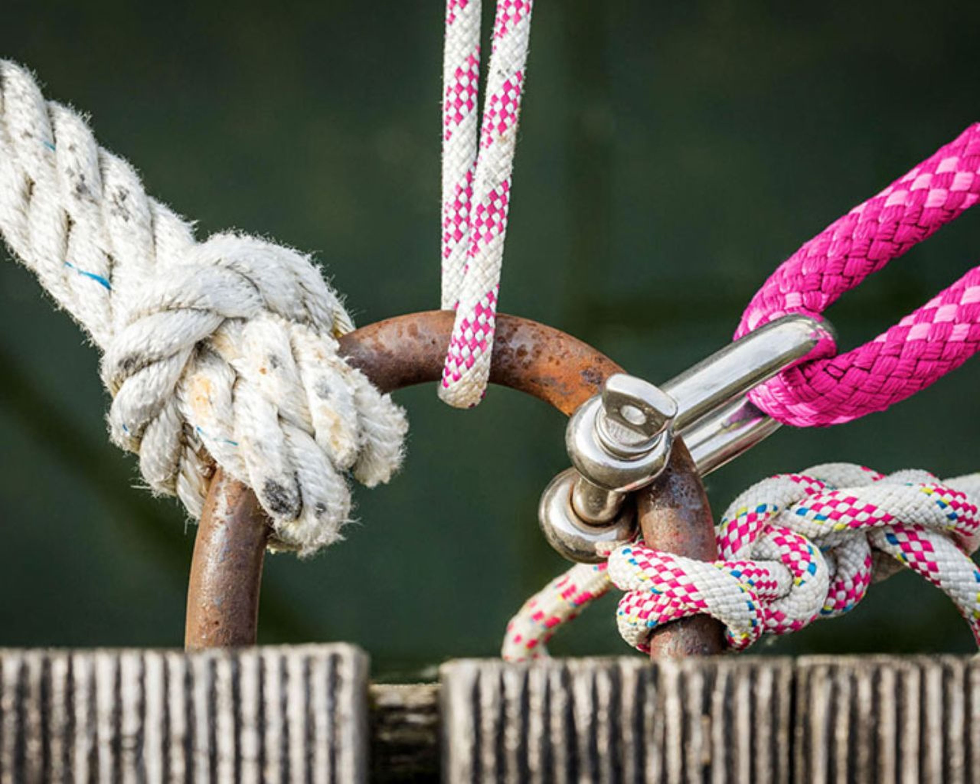 Silné partnerstvo na úrovni Detailný záber lán priviazaných k hrdzavému kovovému krúžku na drevenom povrchu. Dve laná sú biele a jedno ružové s pripevnenou kovovou sponou.