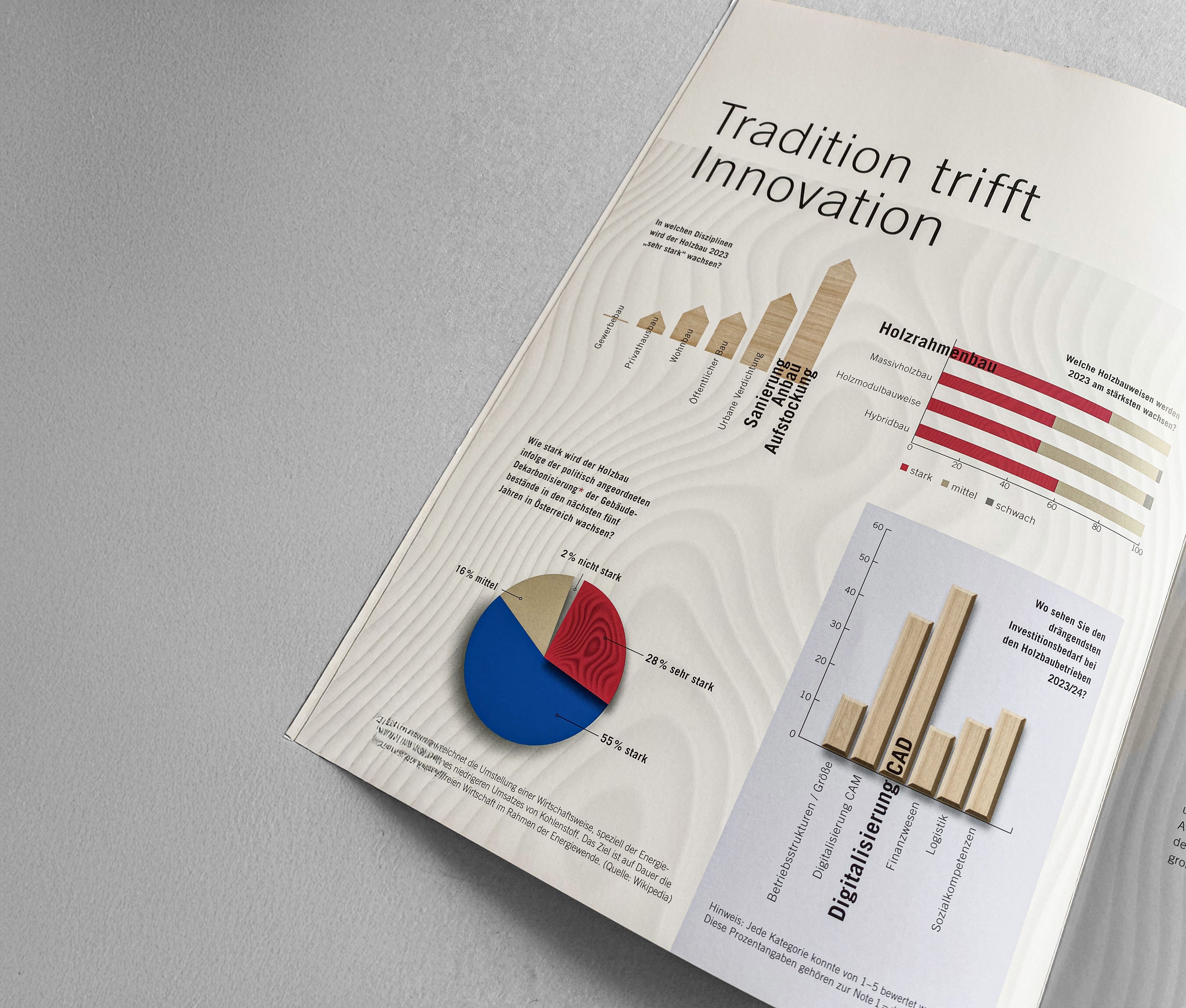 Ölz GrafikDesign - Abbildung Infografik holzbau austria