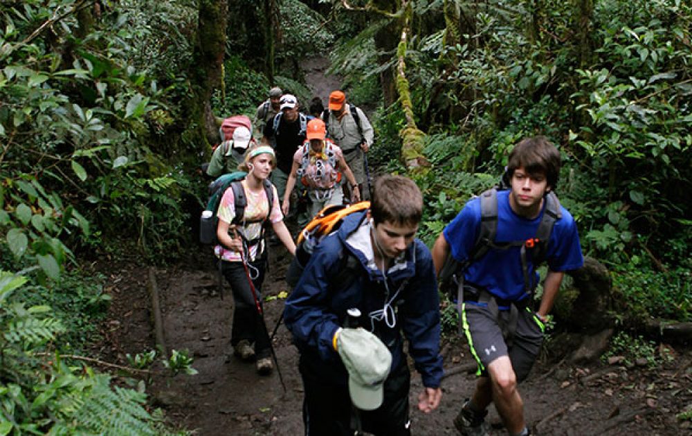 Mount Kilimanjaro Rainforest Hike — photo 6