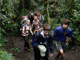 Mount Kilimanjaro Rainforest Hike — photo 6