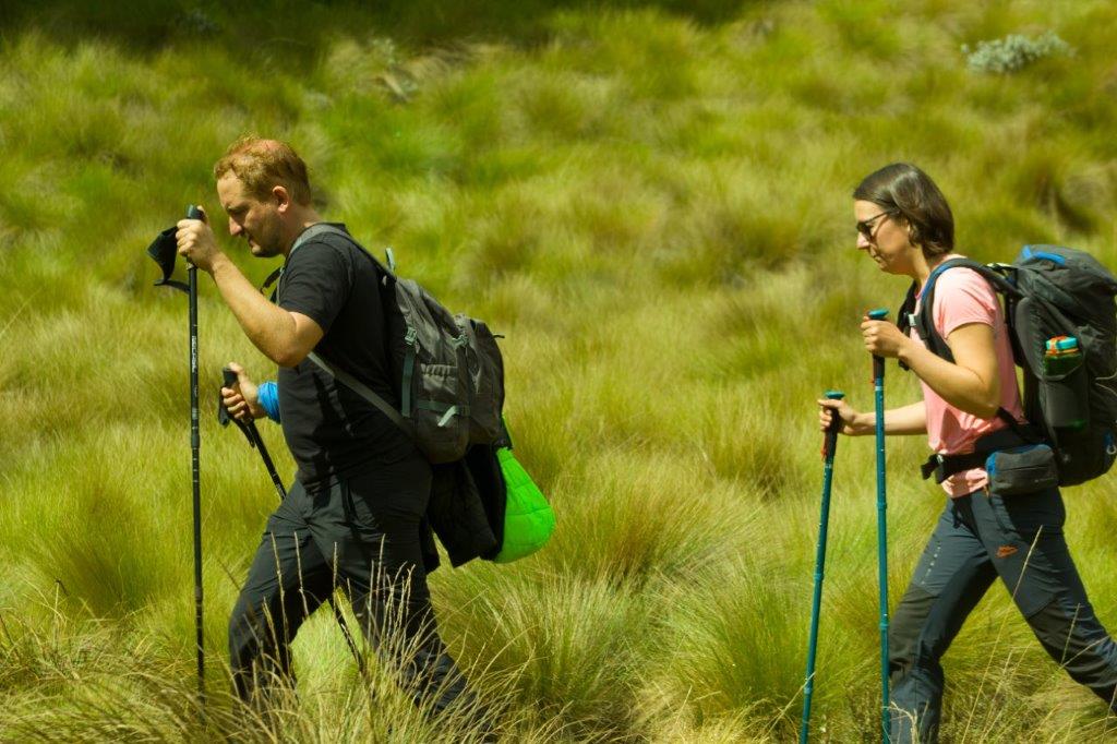 Mount Kilimanjaro Rainforest Hike — photo 5
