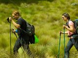 Mount Kilimanjaro Rainforest Hike — photo 5