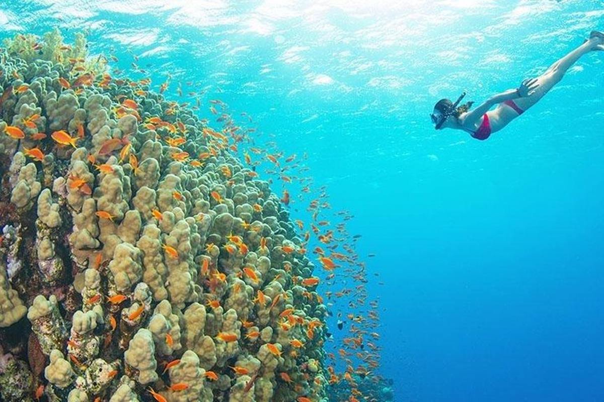 Snorkeling Mnemba Atoll — photo 7
