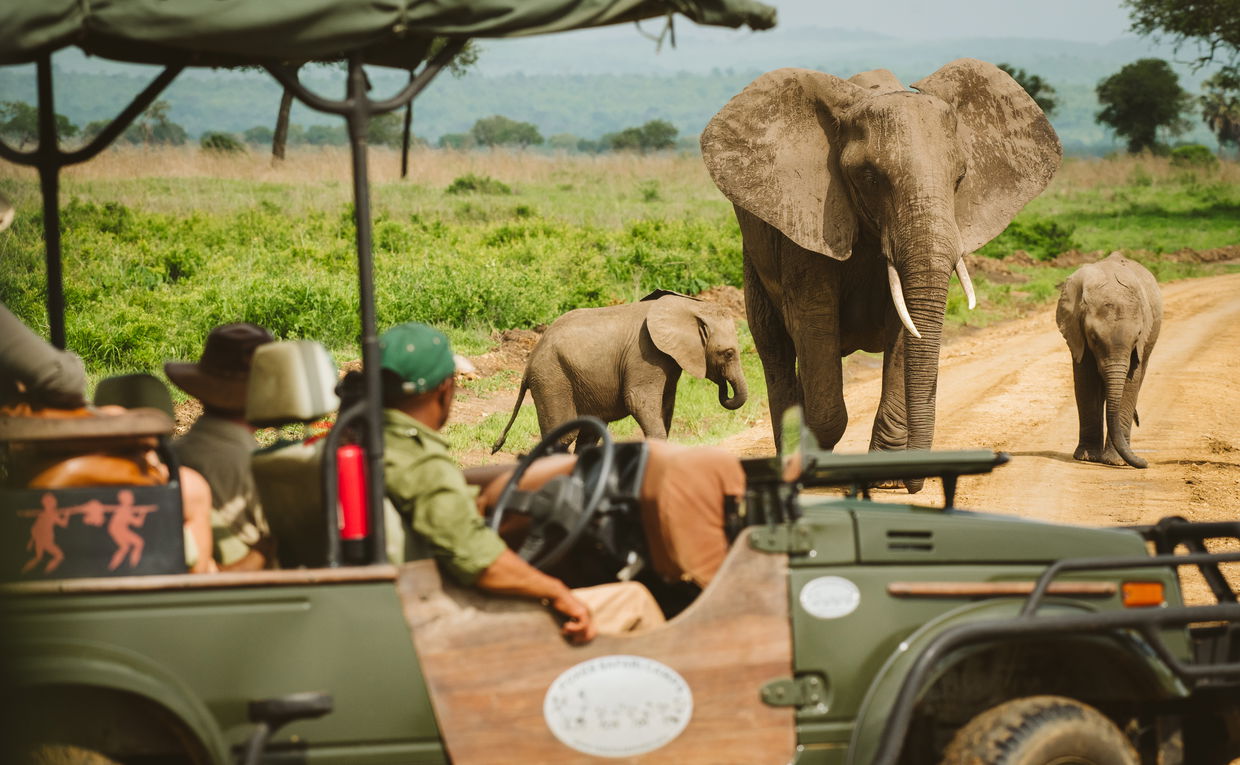 Mkomazi National Park Day Safari — photo 2