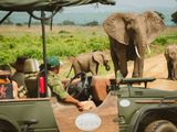 Mkomazi National Park Day Safari — photo 2
