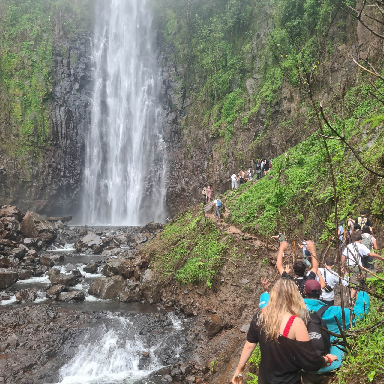 Materuni Waterfalls & Coffee Tour — photo 7