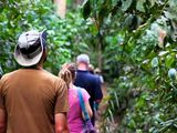 Spice Farm, Stone Town & Prison Island — photo 4
