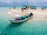 Safari Blue Zanzibar: Traditional Dhow Sailing & Snorkeling — photo 5