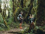 Mount Kilimanjaro Rainforest Hike