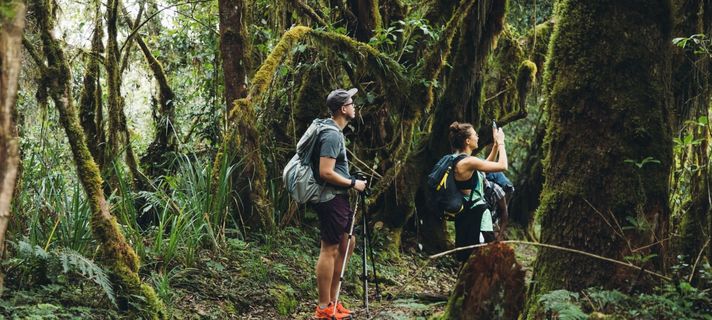 Mount Kilimanjaro Rainforest Hike