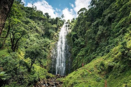 Materuni Waterfalls & Coffee Tour — photo 2