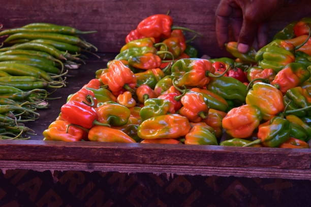 Zanzibar Spice Tour: Visit a Real Working Farm & Cook with a Local Family