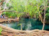 Kikuletwa Hotspring Tour 
