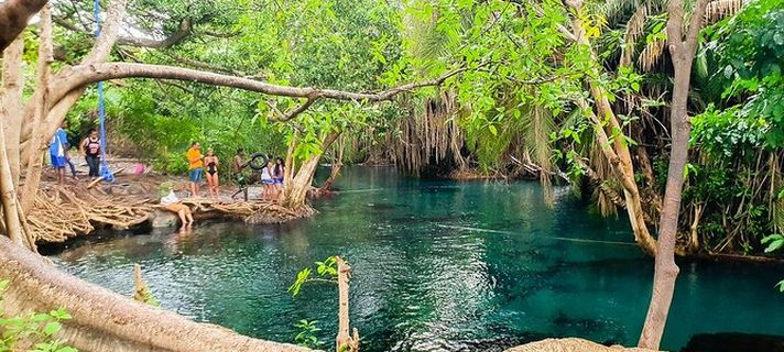 Kikuletwa Hotspring Tour 