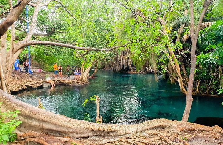 Kikuletwa Hotspring Tour 