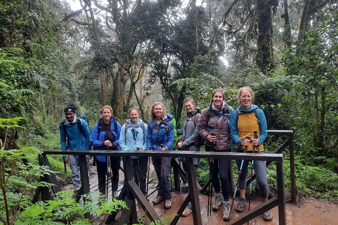 Mount Kilimanjaro Rainforest Hike — photo 3