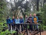 Mount Kilimanjaro Rainforest Hike — photo 3