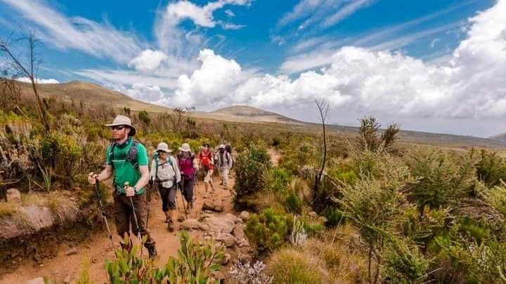 Mount Kilimanjaro Rainforest Hike — photo 2
