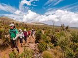 Mount Kilimanjaro Rainforest Hike — photo 2