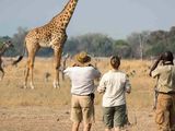 Mkomazi National Park Day Safari — photo 7
