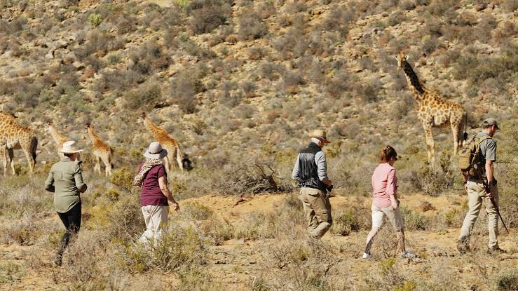 Mkomazi National Park Day Safari — photo 3