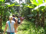 Spice Farm, Stone Town & Prison Island — photo 2